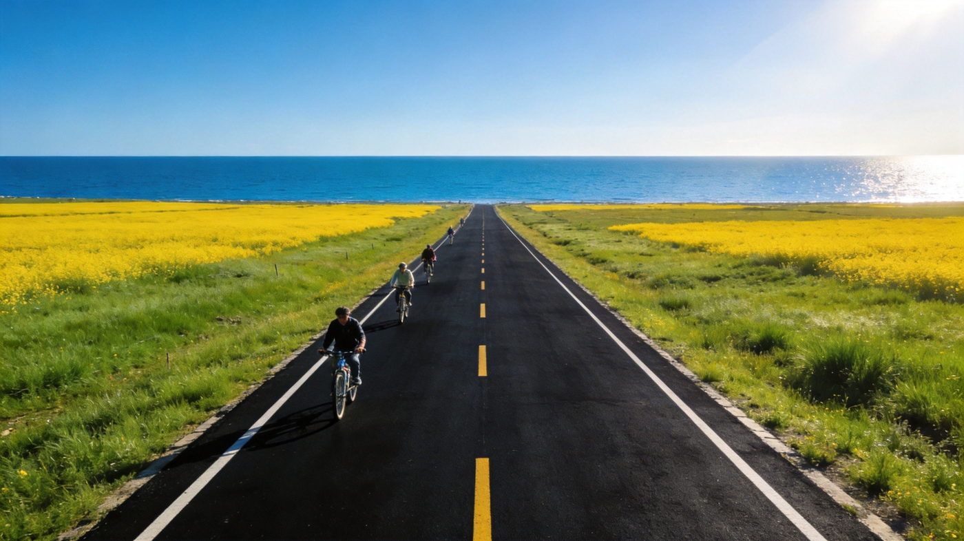 青海湖环湖公路，湛蓝湖水与湖边油菜花田，骑行者在笔直的柏油公路上前行，远处雪山