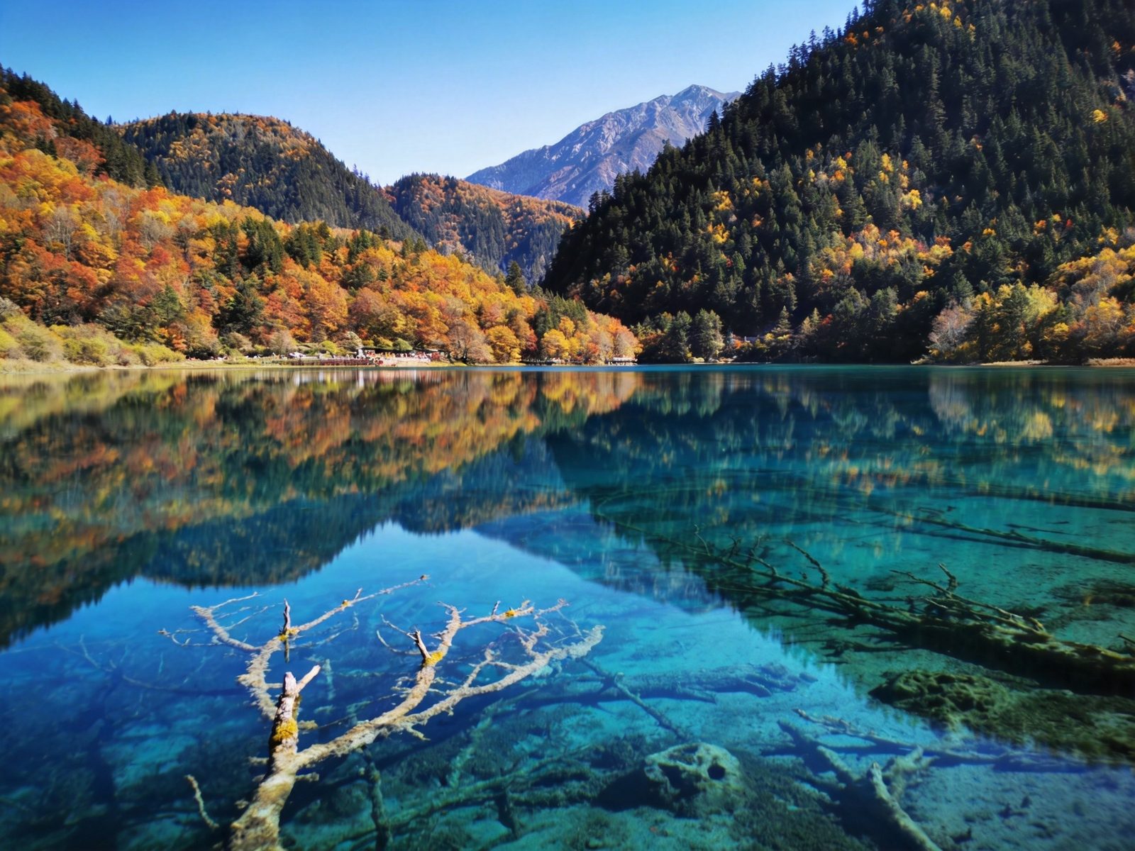 九寨沟五花海碧蓝清澈的湖水倒映彩林与雪山，色彩斑斓如童话