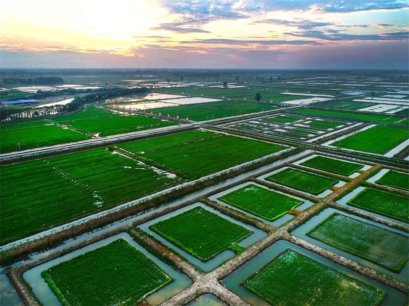 潜江田园