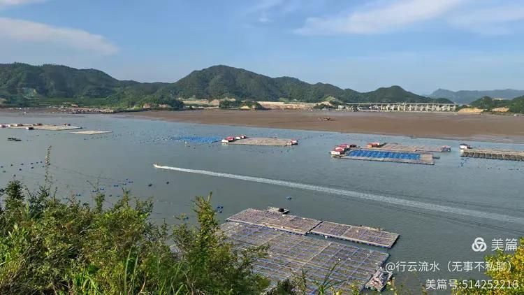 港湾渔排与桥梁