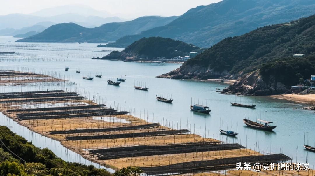 渔村港湾紫菜养殖